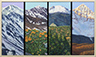 Four Colorado Seasons